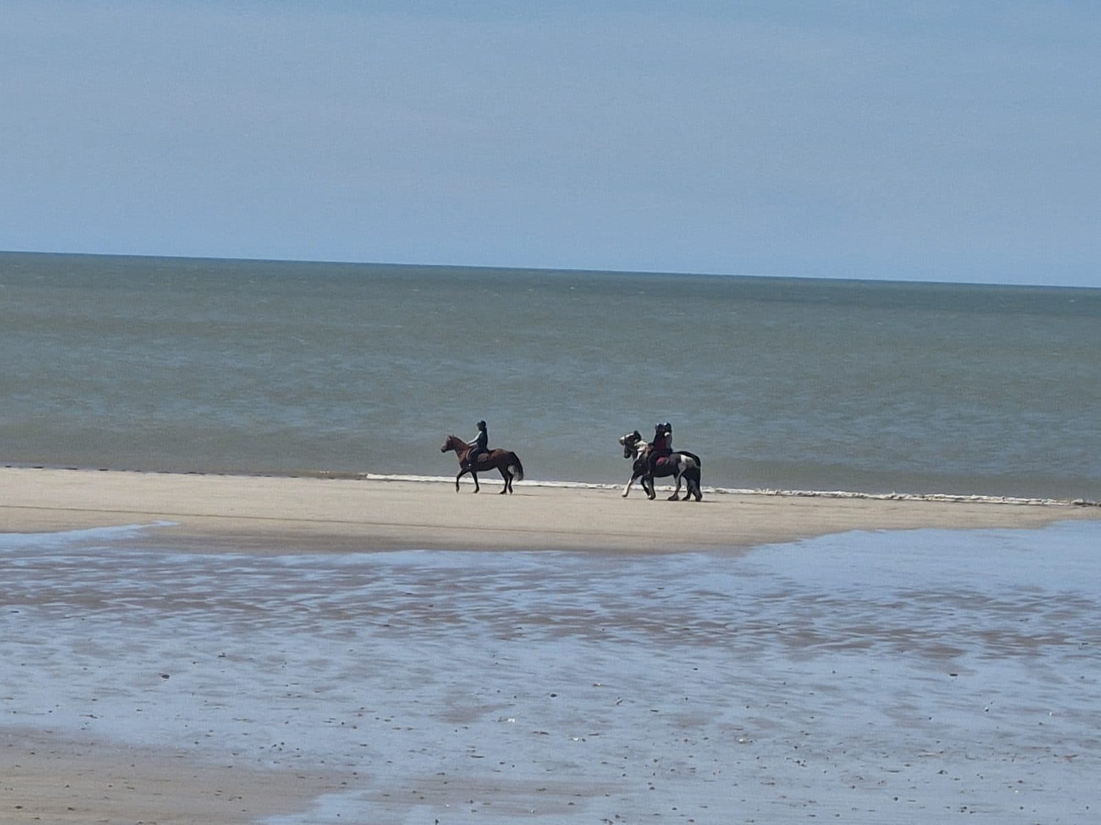 Deux cavaliers sur un banc de sable à marée basse