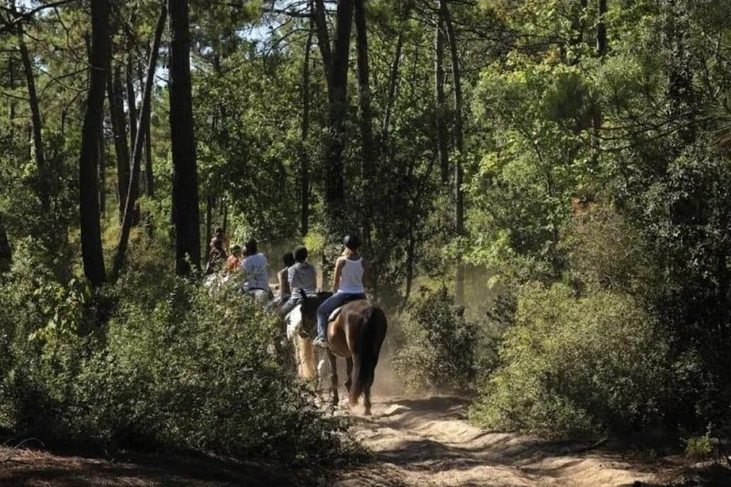 Des cavaliers sur un sentier sablonneux sous les pins